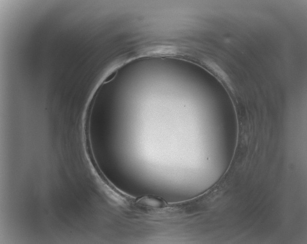 X0000071951475200607141446