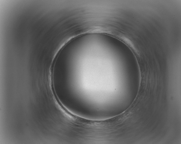 X0000071951476200607141446