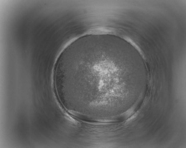 X0000071951477200607141446