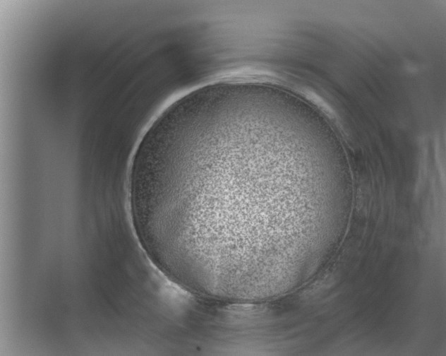 X0000071951478200607141446