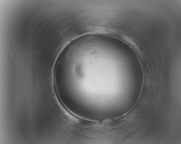 X0000071951479200607141446