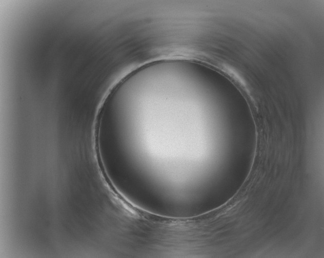 X0000071951480200607141446