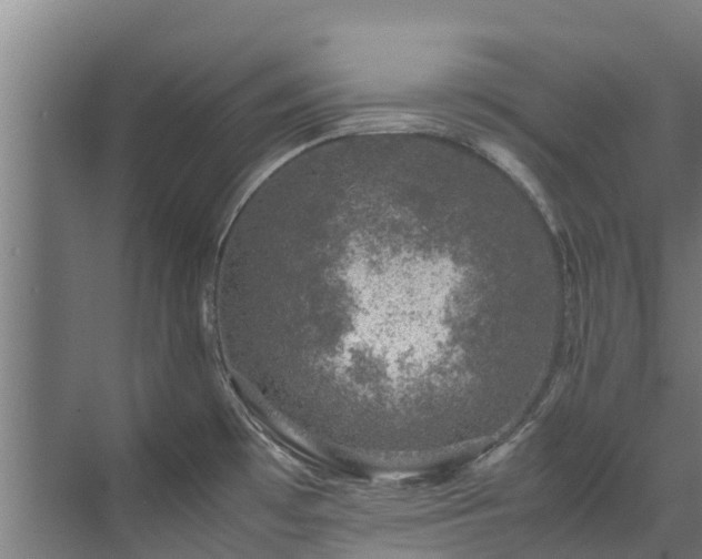 X0000071951481200607141446