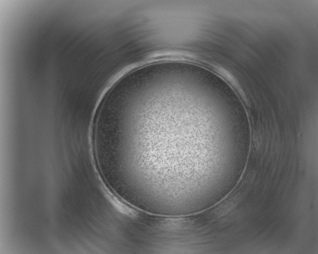 X0000071951482200607141446