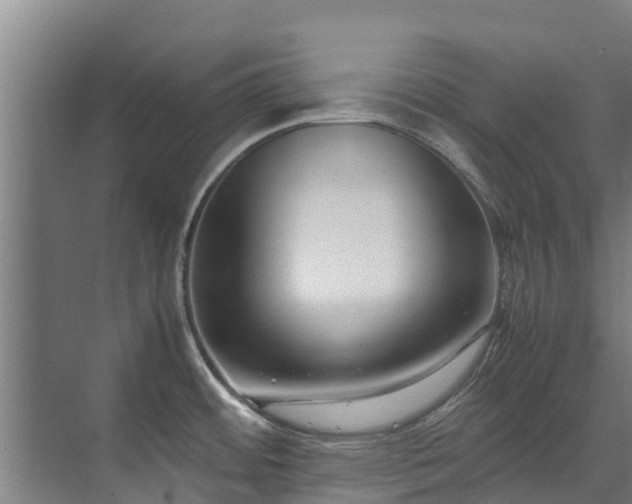 X0000071951484200607141446