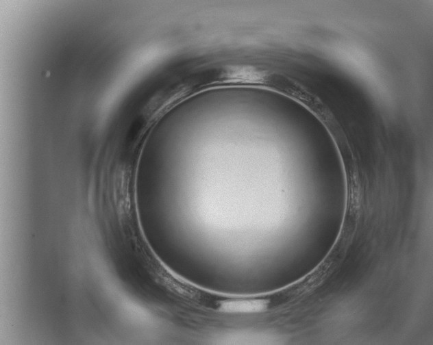 X0000071951487200607141446