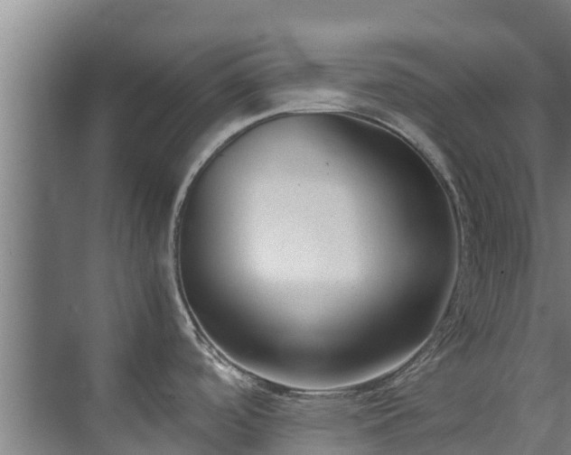 X0000071951488200607141446