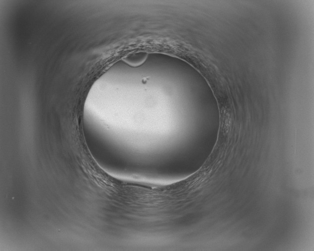 X0000071951489200607141445