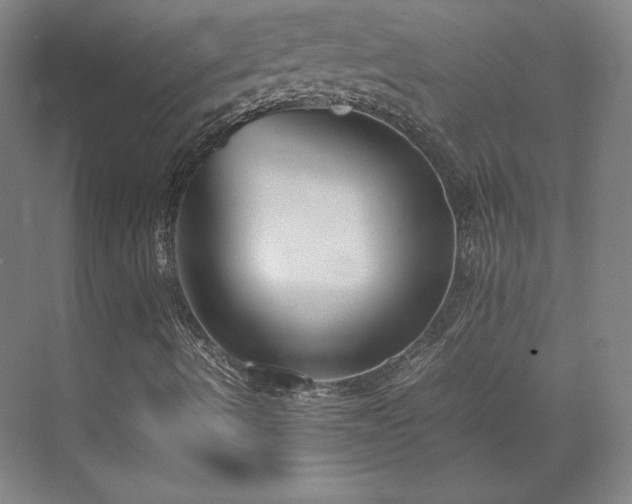 X0000071951490200607141445