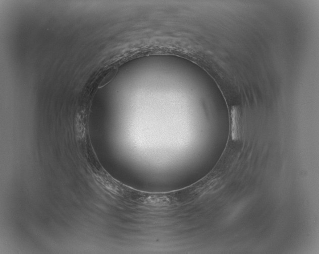 X0000071951491200607141445