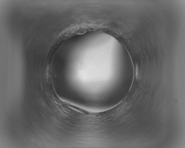 X0000071951492200607141445