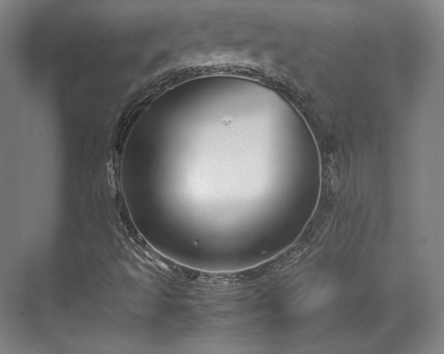 X0000071951493200607141445