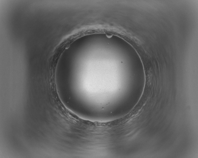 X0000071951494200607141445