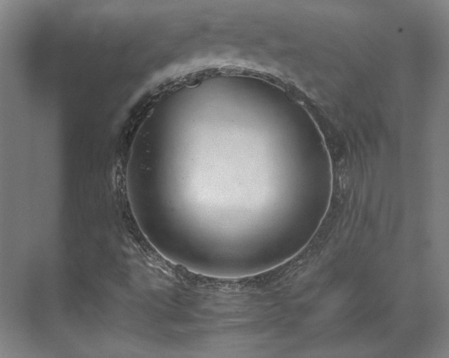 X0000071951495200607141445