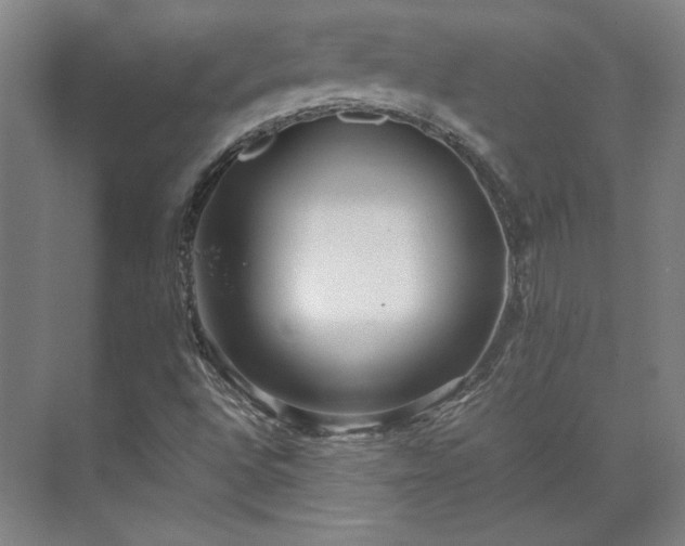 X0000071951496200607141445