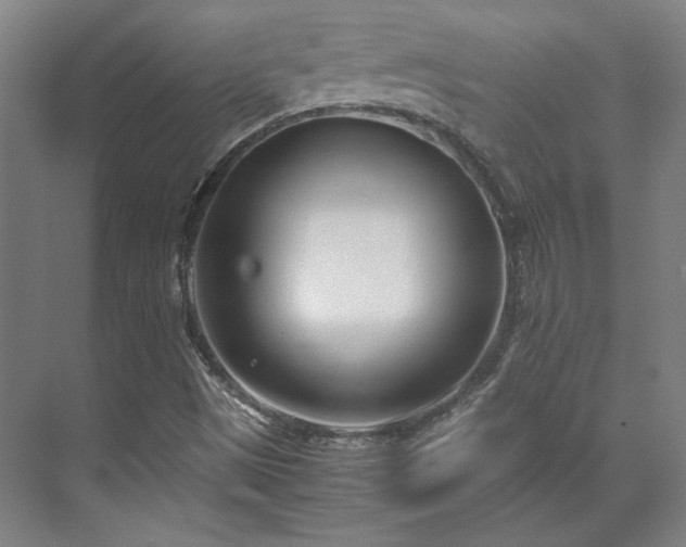 X0000071951497200607141445