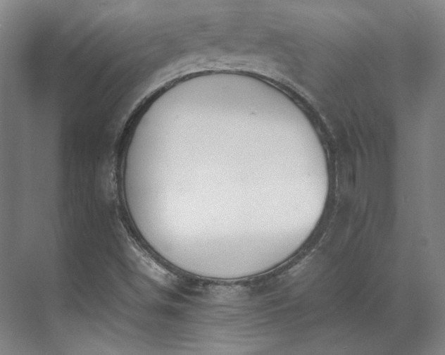 X0000071951498200607141445