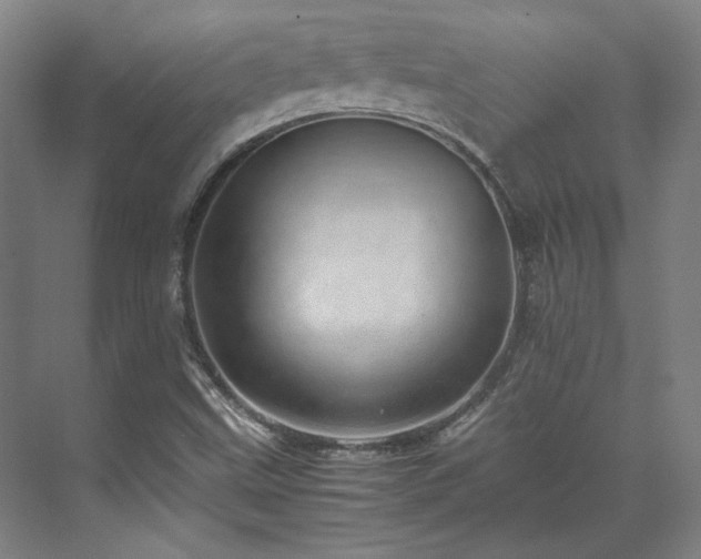 X0000071951499200607141445