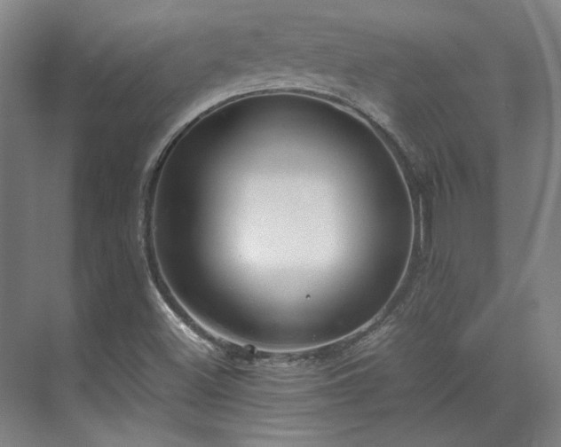 X0000071951500200607141445