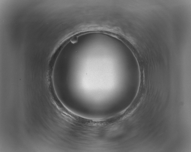 X0000071951501200607141445