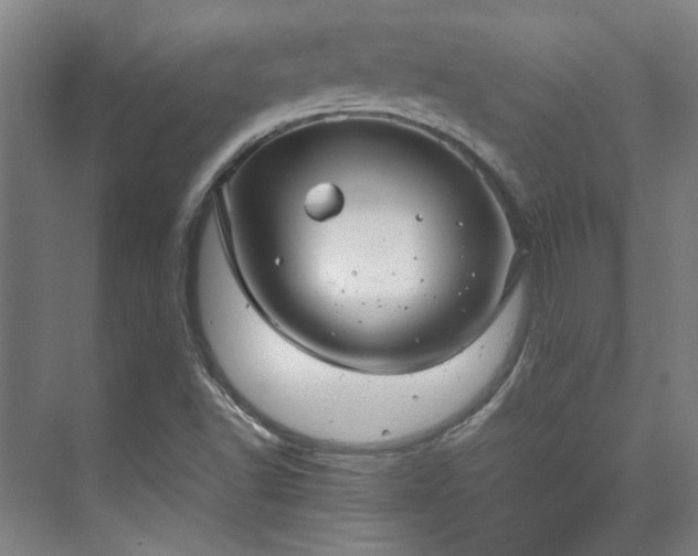 X0000071951502200607141445