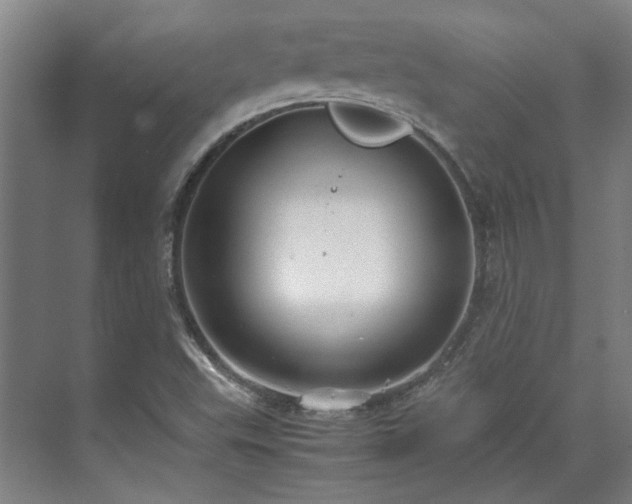 X0000071951503200607141445