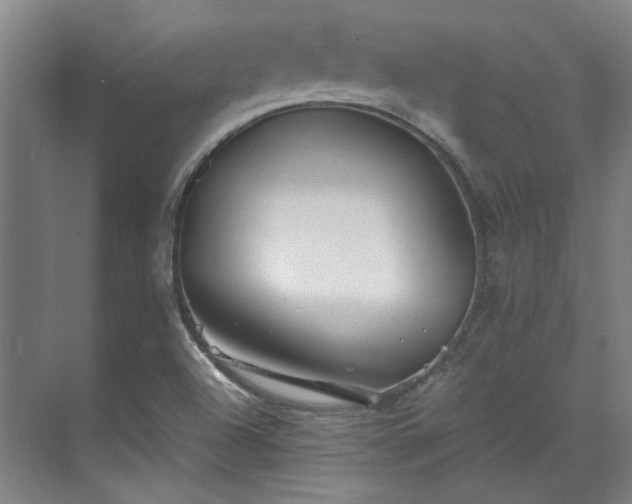 X0000071951504200607141445