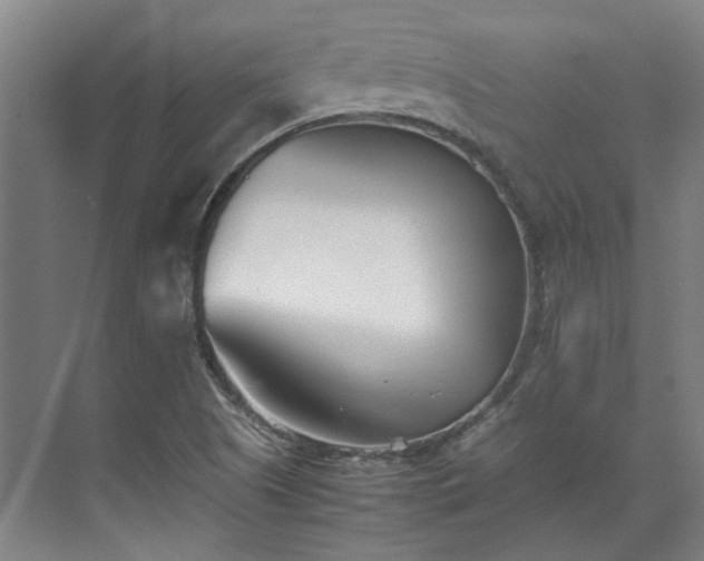 X0000071951505200607141445