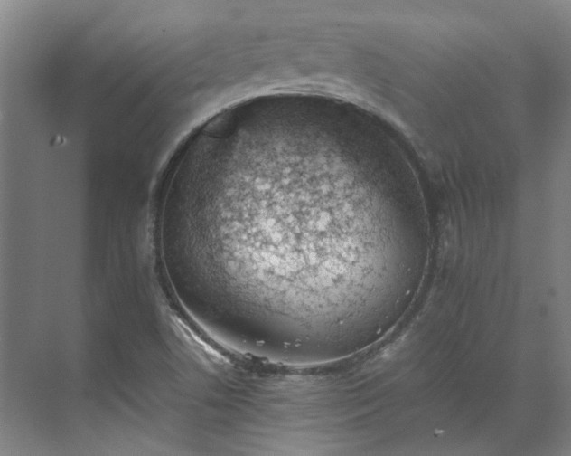 X0000071951506200607141445