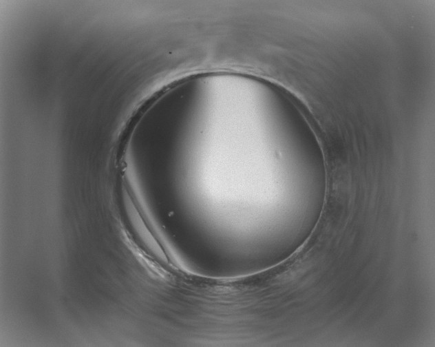 X0000071951507200607141445