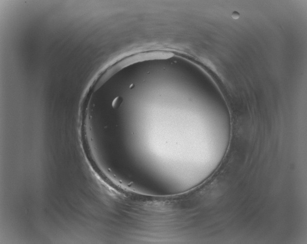 X0000071951508200607141445