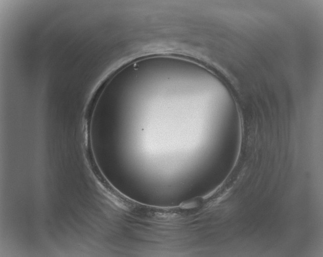 X0000071951509200607141445