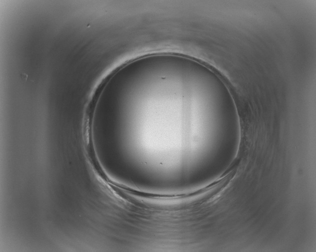 X0000071951510200607141445