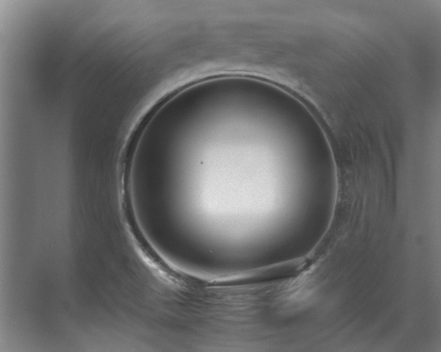 X0000071951511200607141445