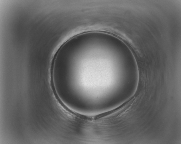 X0000071951512200607141445