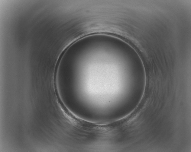 X0000071951513200607141445