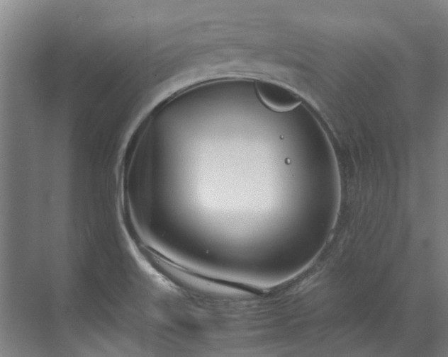 X0000071951515200607141445