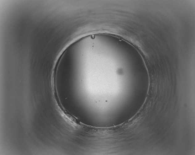 X0000071951516200607141445