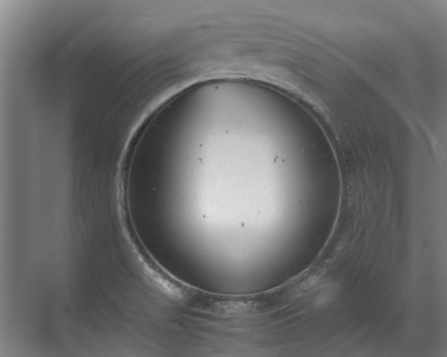 X0000071951517200607141445