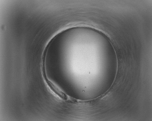 X0000071951518200607141445