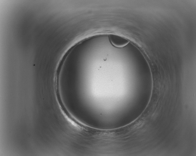 X0000071951519200607141445