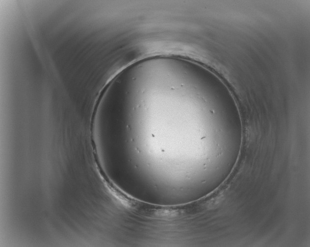 X0000071951521200607141446