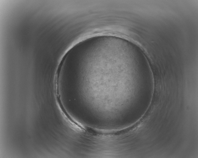 X0000071951522200607141446