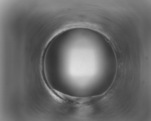 X0000071951523200607141446