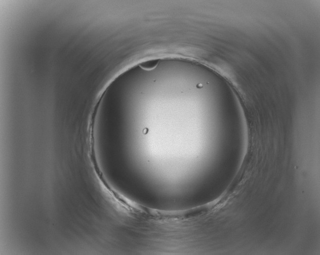 X0000071951524200607141446