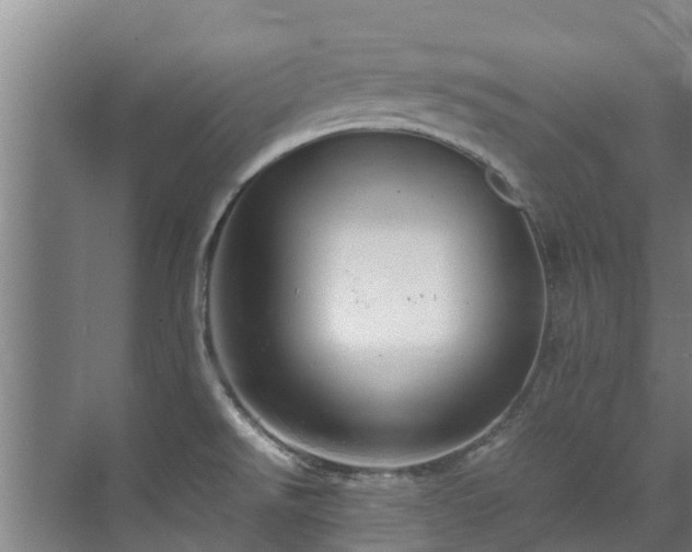 X0000071951526200607141446