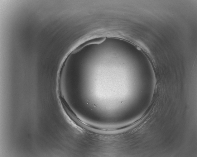 X0000071951528200607141446