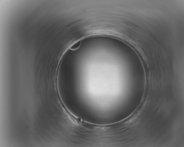 X0000071951529200607141446