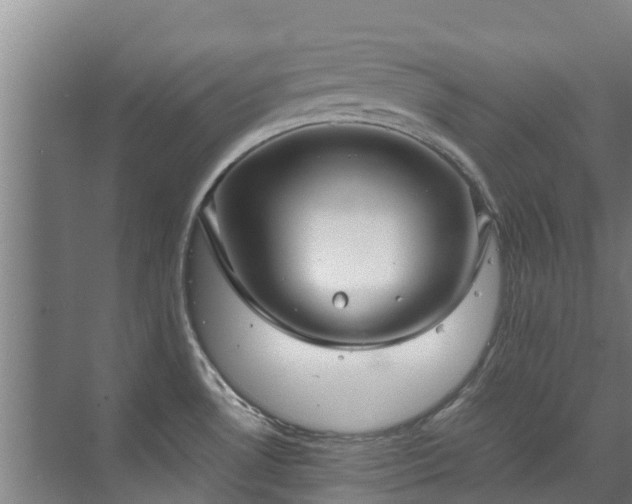 X0000071951530200607141446