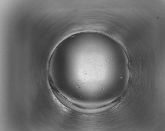 X0000071951532200607141446